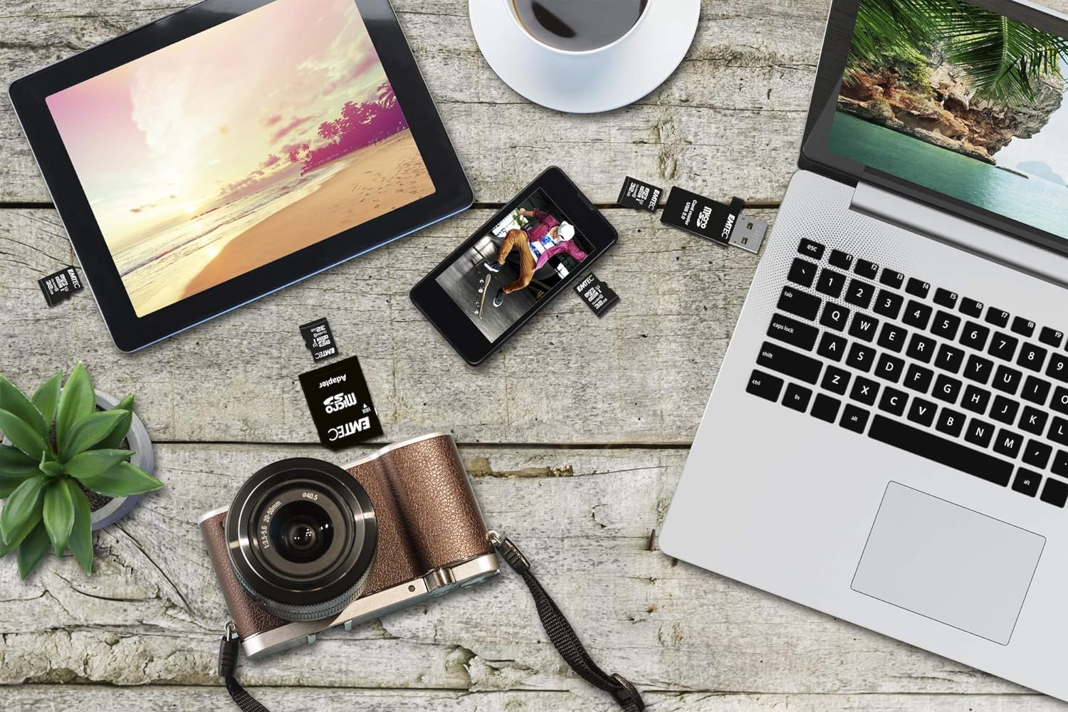 EMTEC SD Card 16GB SDHC (CLASS10) Gold + Kartenbl