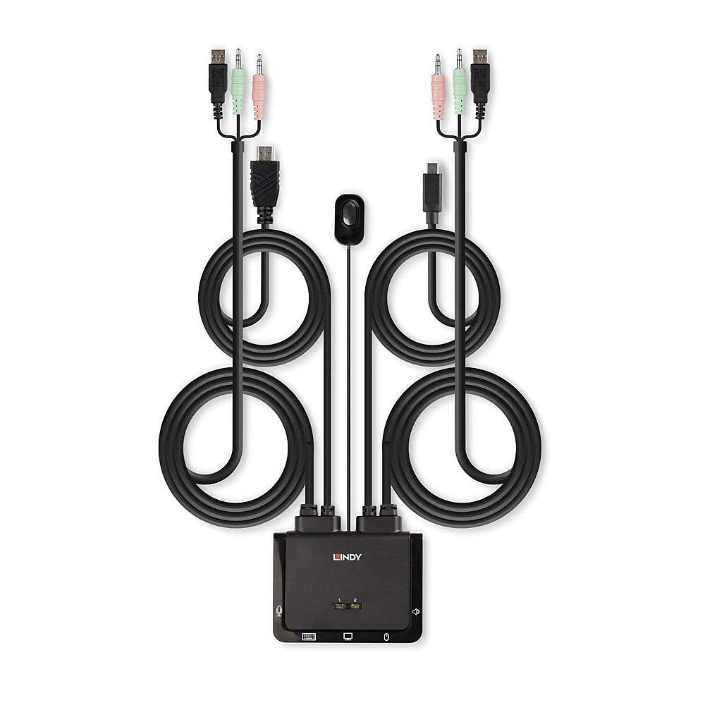 LINDY 2 Port