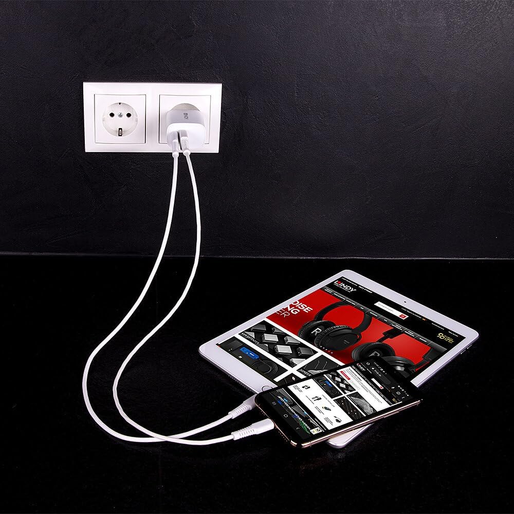 Lindy Usb Typ A & C Charger 20W, Wei?