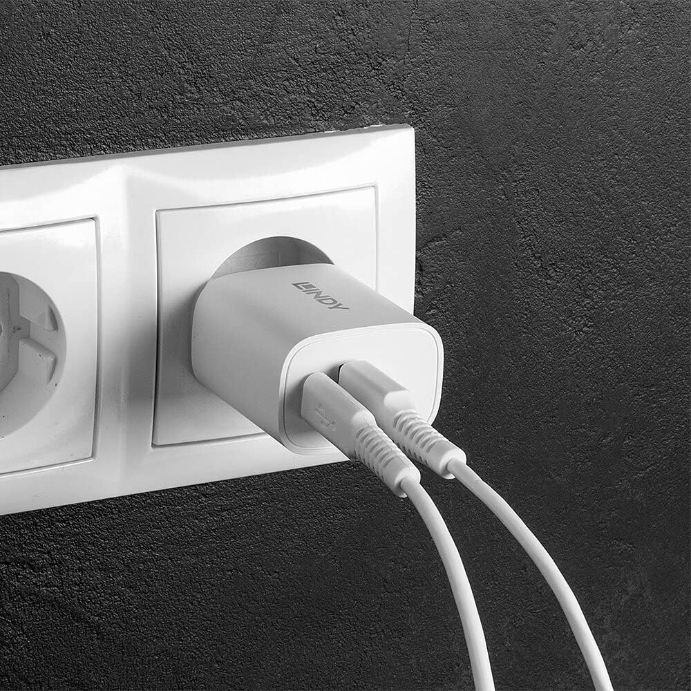 Lindy Usb Typ A & C Charger 20W, Wei?