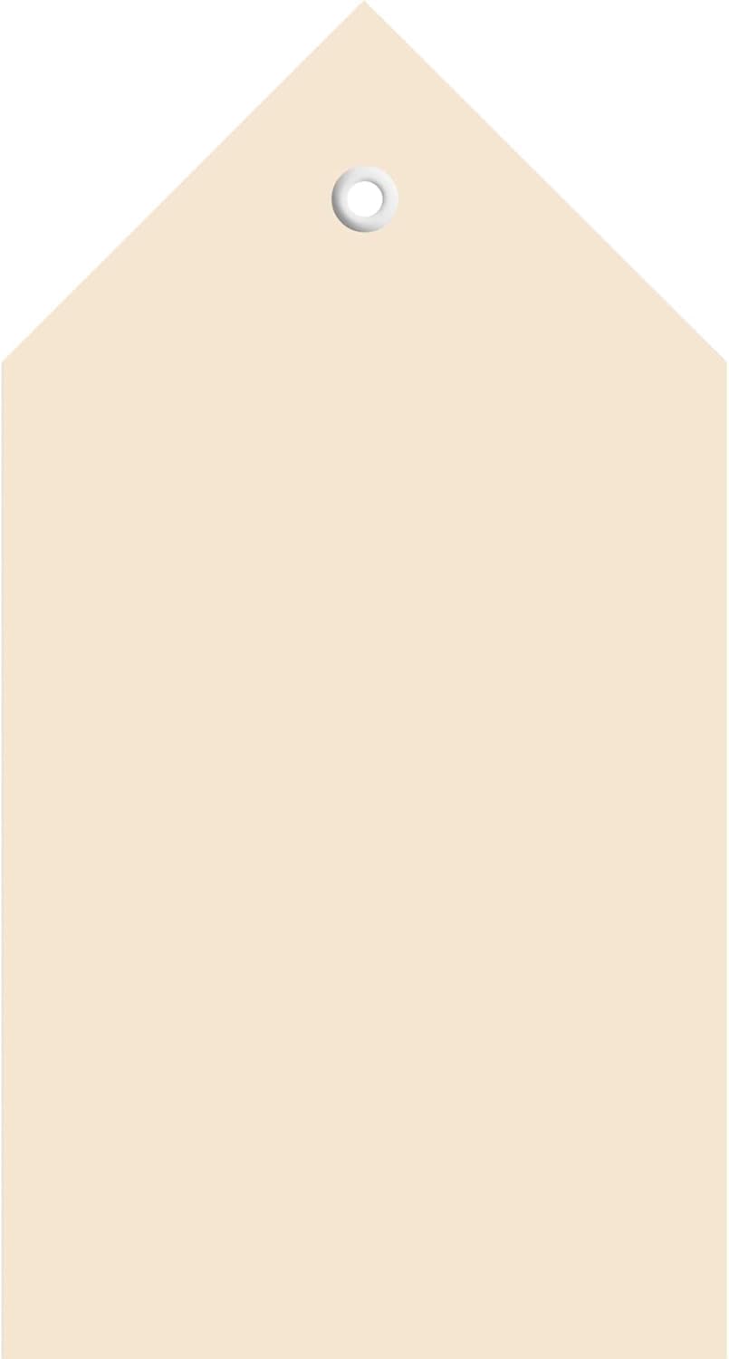 HERMA 6070 Large Tags Pack of 1000, 80 x 150 mm, Gift Tags for Labelling, Cardboard Hanging Labels, Blank Paper Tags, Labels with Eyelet, Brown