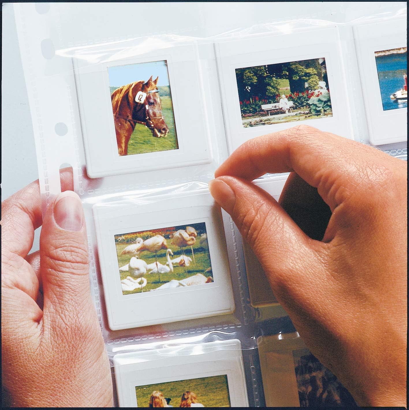 HERMA 7698 Fotophan Slide Sleeves DIN A4 Transparent (5 x 5 cm, 10 Pockets, Film, Clear/Matte) Slide Archiving for Framed Slides with Safety Tab and Euro Holes 10 Hüllen Clear / matt