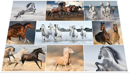 HERMA 19380 Desk Mat Animals Horses Set of 3 55 x 35 cm Non-Slip Wipe Clean and Double-Sided Desk Mat Made of Sturdy Cardboard Table Mat for Children