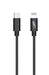 2GO USB C to Lightning Cable 100 cm MFi Certified Power Delivery USB C to Lightning Charging Cable, 20W FastCharge Compatible with iPhone 12/11 Pro/11 Pro Max/X/XS/XR/XS Max / 8, Black