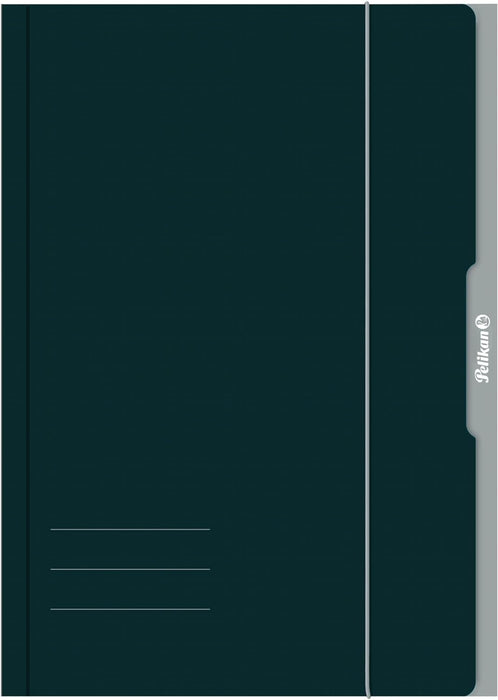 Pelikan Portfolio Folder A4 Assorted Colours FSC