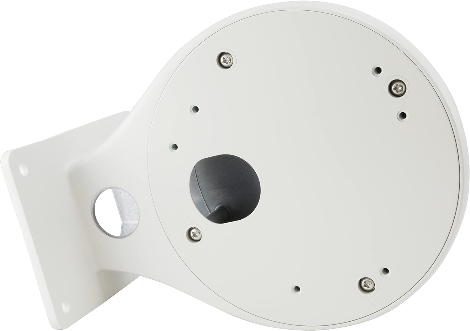 LevelOne CAS - 2314 Wall Mount