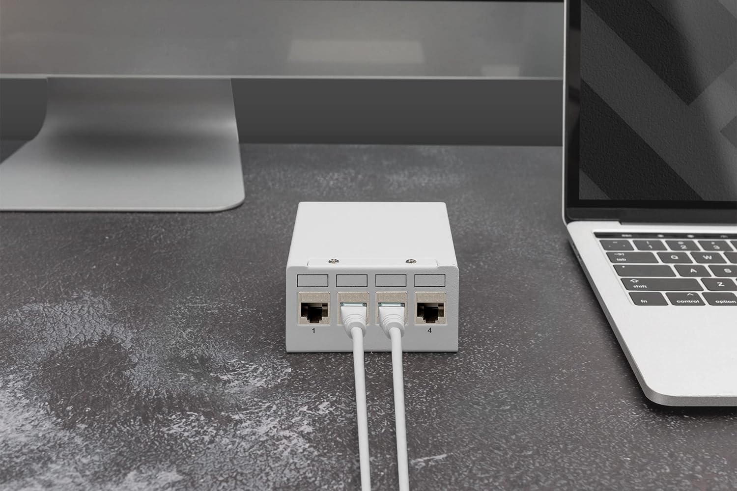 DIGITUS Desktop Modular Patch Panel, geschirmt, 4-Port, Lichtgrau