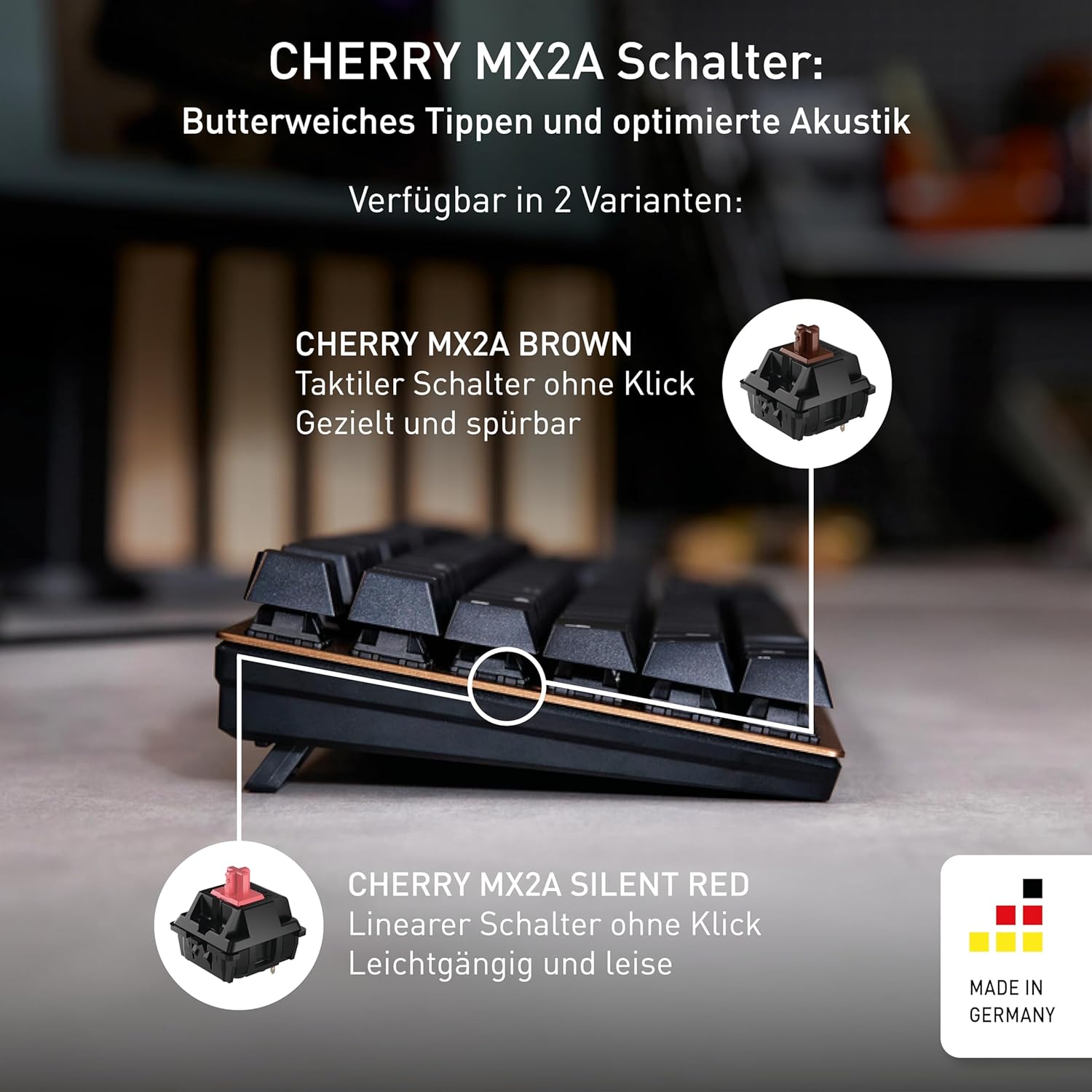 CHERRY TAS KC 200 MX Corded DE-Layout silber MX2A