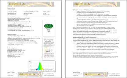 SEGULA LED Reflektor PAR38 grun E27 18W