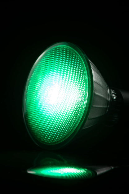 SEGULA LED Reflektor PAR38 grun E27 18W
