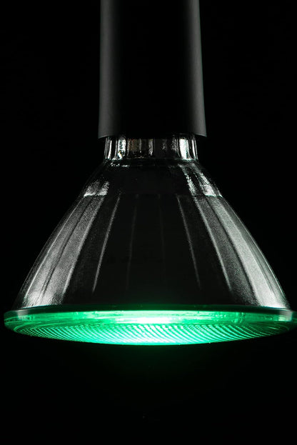 SEGULA LED Reflektor PAR38 grun E27 18W