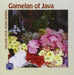 Gamelan Of Java Vol. 4 Puspa Warna