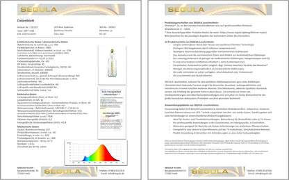 `Segula LED Beer Bulb klar E27 6,5W 1900K dimmbar`
