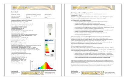 Segula LED Gluhlampe A90 klar - Balance E27 3W 220