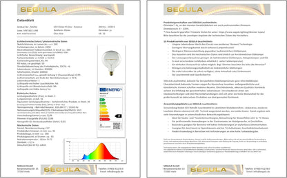 Segula LED Globe 95 klar - Balance E27 3W 2200K di