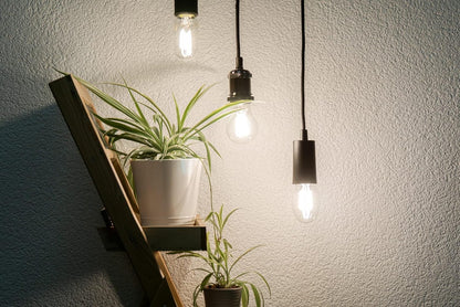 Segula LED Mini Ellipse High Power klar E27 7,5W 2