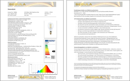 SEGULA LED Ellipse High Brightness klar E27 14W 27