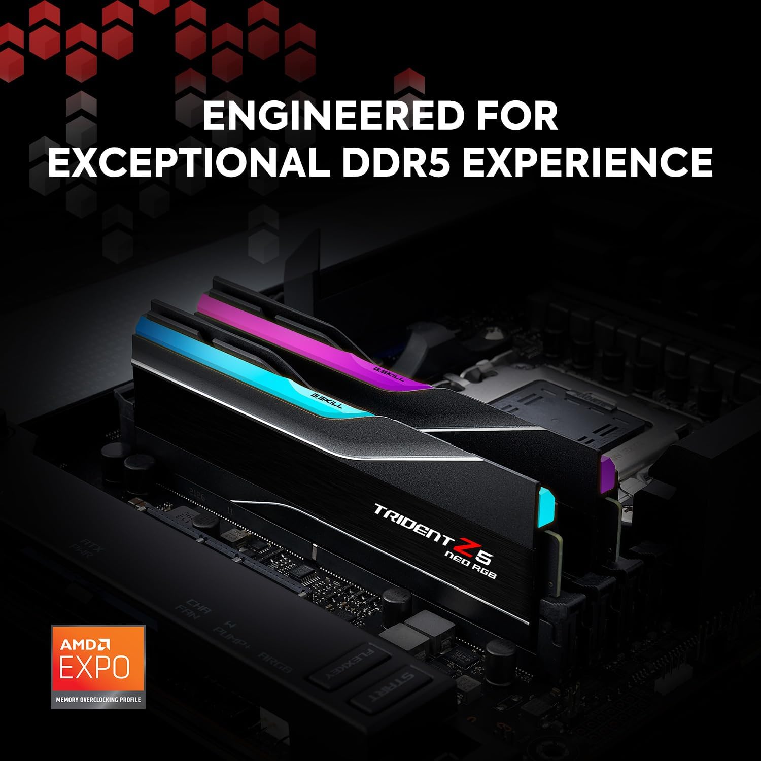 G.Skill Trident Z5 NEO RGB 48GB DDR5 5600-40, (2x24GB), F5-5600J4040D24GX2-TZ5NR