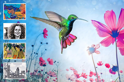 Adobe Photoshop & Prem Elements 2024 Deutsch WIN/M