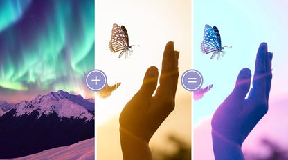 Adobe Photoshop & Prem Elements 2024 Deutsch WIN/M
