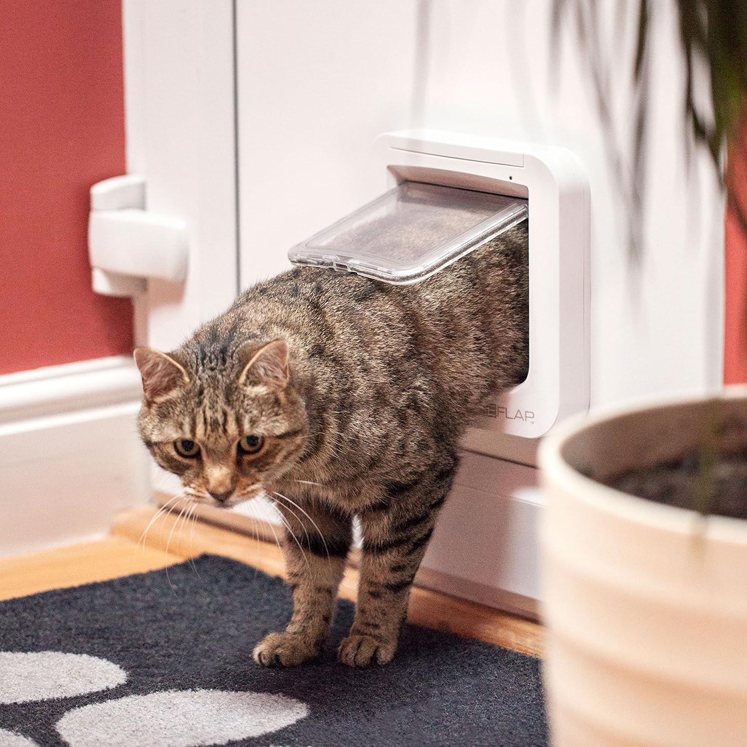 Sure PetCare | Chatière à Puce électronique SureFlap, Compatible avec médaillon d'identification par radiofréquence et avec Les puces électroniques, pour Portes, fenêtres et Murs, Marron,