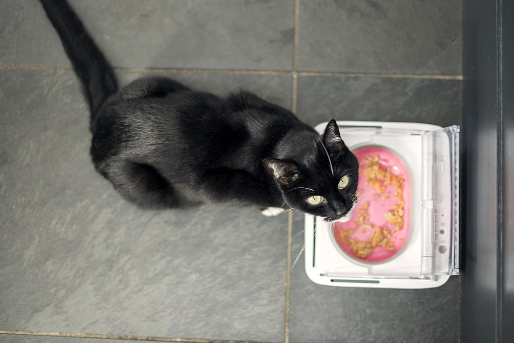 Sure Petcare SureFeed Sealed Pet Bowl for Cats and Small Dogs, Motion Activated Lid, Works for Wet and Dry Food, Keeps Food Fresh, Locks Odours in, White, 4xC Cell Batteries Required, Not Included