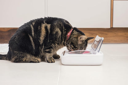 Sure Petcare SureFeed Sealed Pet Bowl for Cats and Small Dogs, Motion Activated Lid, Works for Wet and Dry Food, Keeps Food Fresh, Locks Odours in, White, 4xC Cell Batteries Required, Not Included