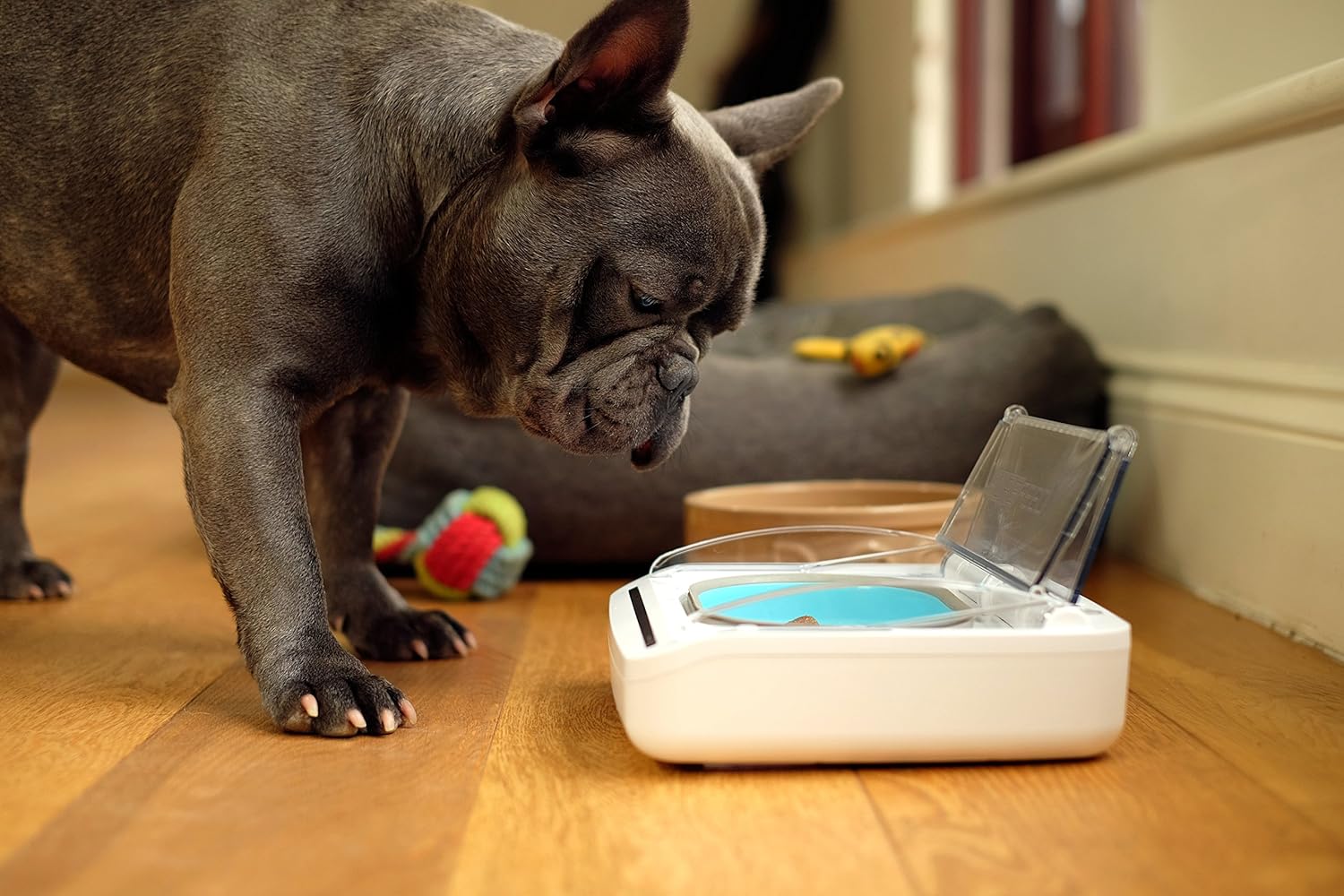 Sure Petcare SureFeed Sealed Pet Bowl for Cats and Small Dogs, Motion Activated Lid, Works for Wet and Dry Food, Keeps Food Fresh, Locks Odours in, White, 4xC Cell Batteries Required, Not Included