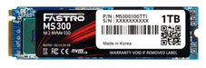 Mega Fastro SSD 1TB MS300 Series PCI-Express NVMe intern bis zu 7.000 MB/s Lesen 6.000 MB/s Schreiben