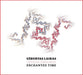 Enchanted Time