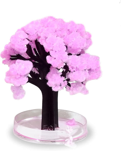 `Mad Monkey - Magic Sakura, Kirschblutenbaum`
