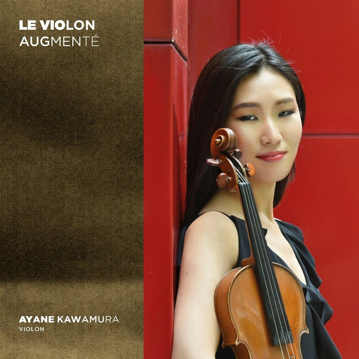 Le Violon Augmenté