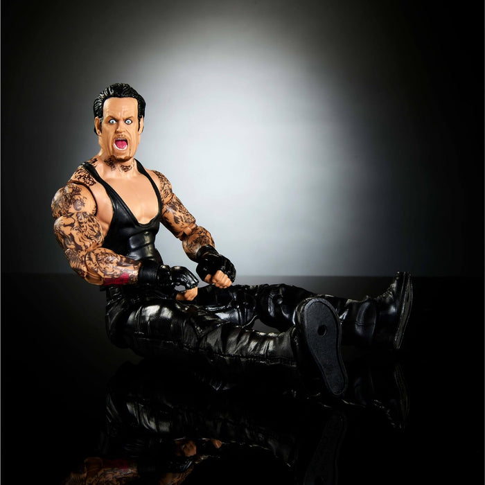 * Wwe Elite Summerslam Figure 2 (May)