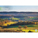 Surrey A4 Calendar 2025 (PFP)