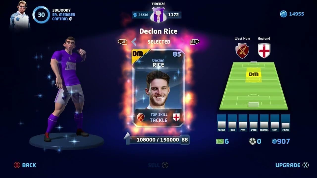 Sociable Soccer 24