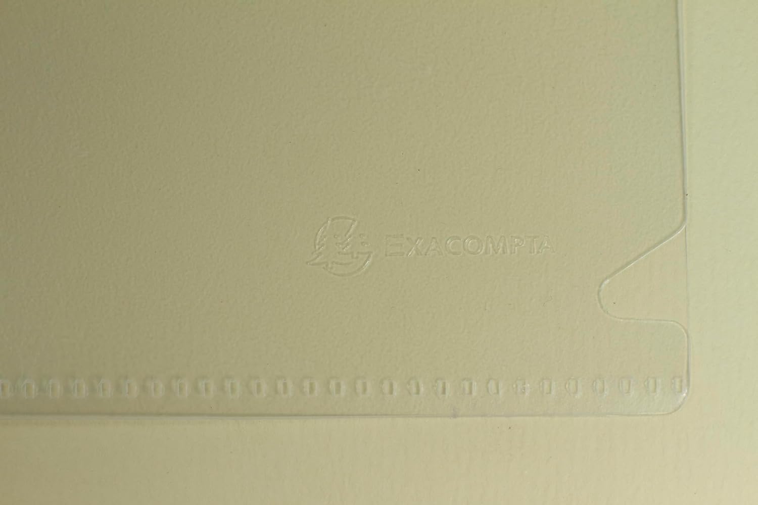 Exacompta - Ref 58320E - Box of 100 Forever Corner Pockets - Made of Recycled Grained Polypropylene - Thickness 12/100th - Dimensions: 22 x 31 cm - Format to File A4 - Crystal Colour