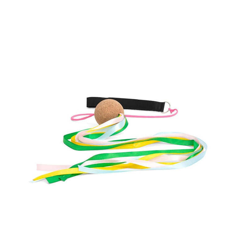 Poi Slinger
