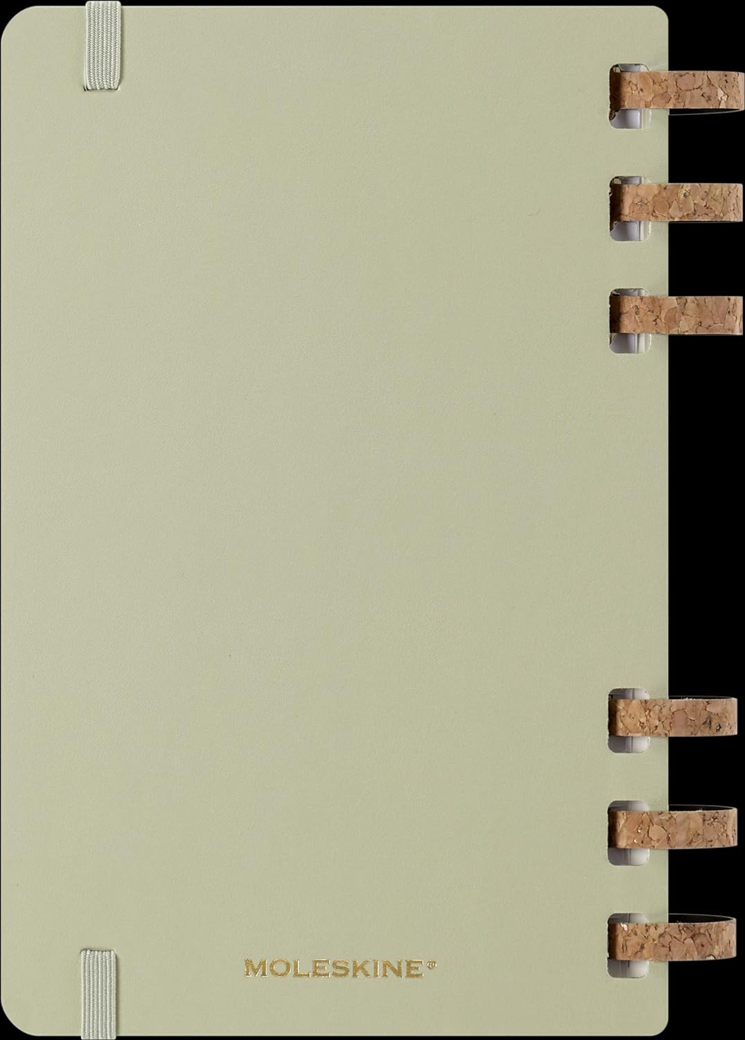 Moleskine Weekly & Monthly Planner, Spiral 12-Month 2025, Hard Cover and Elastic Closure, Crush Kiwi Color, Large Format 15x21 cm