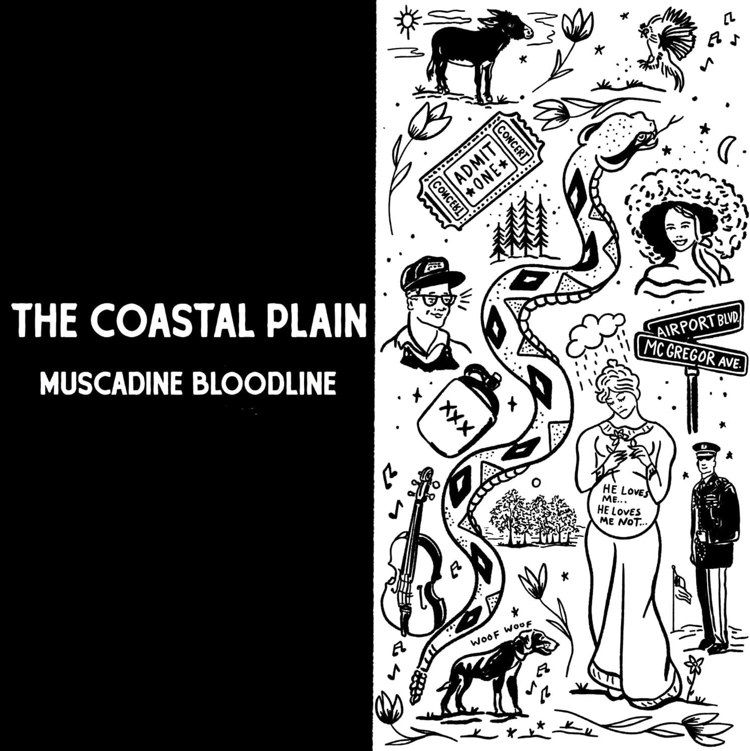 The Coastal Plain