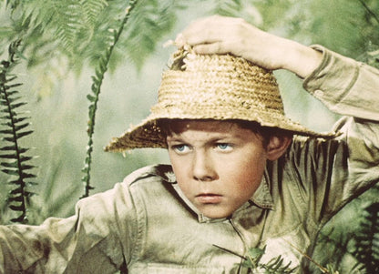 Reise in die Urzeit (Filmjuwelen)