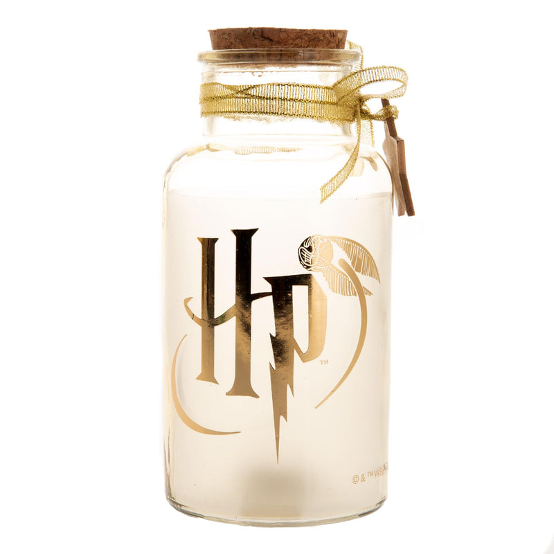 Widdop and Co Harry Potter Led Light Up Jar - Harry Potter