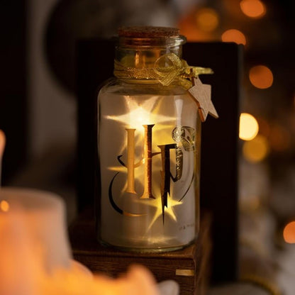 Widdop and Co Harry Potter Led Light Up Jar - Harry Potter