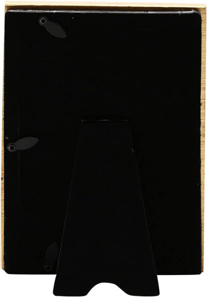 Warner Bros Harry Potter Alumni Gold Photo Frame Hedwig