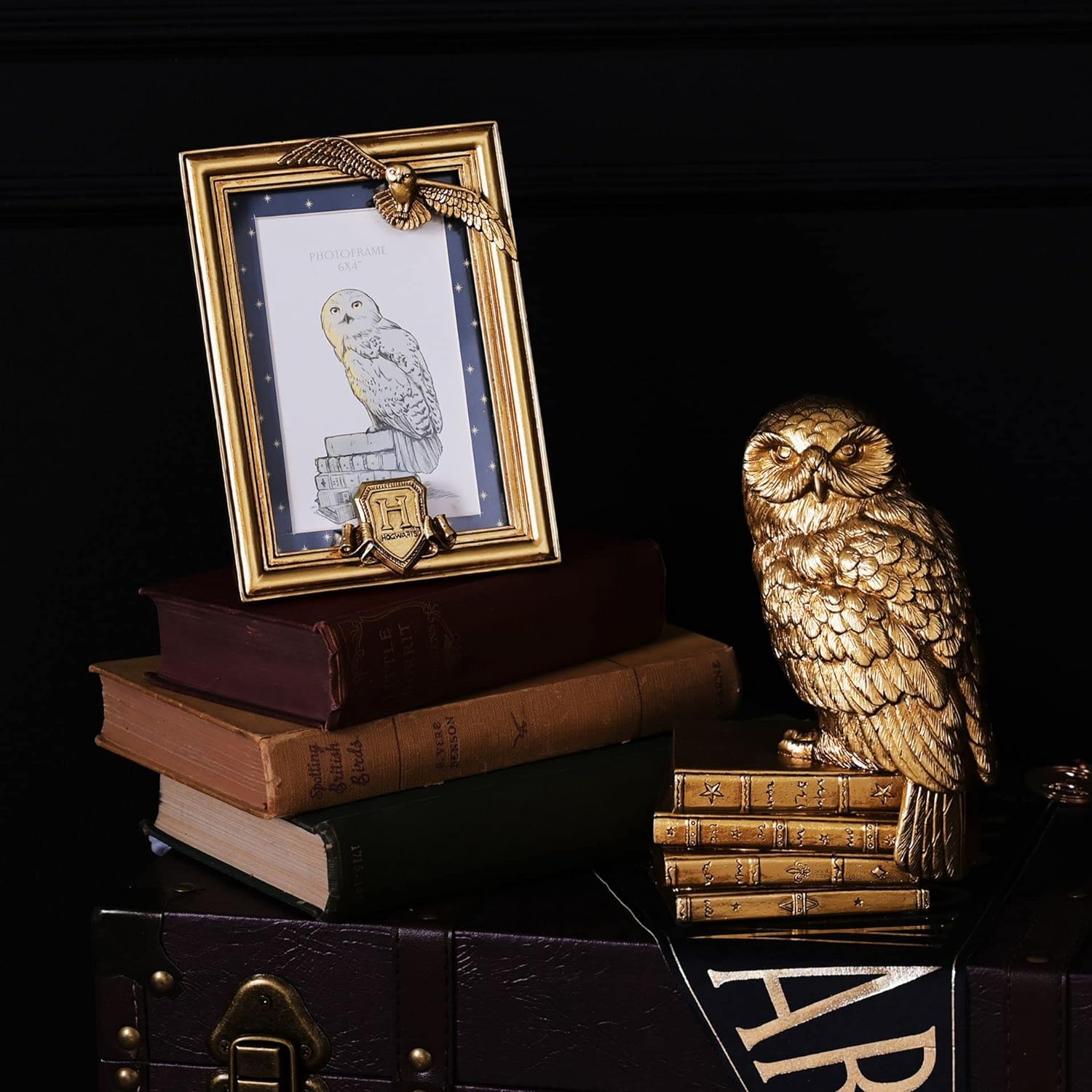 Warner Bros Harry Potter Alumni Gold Photo Frame Hedwig