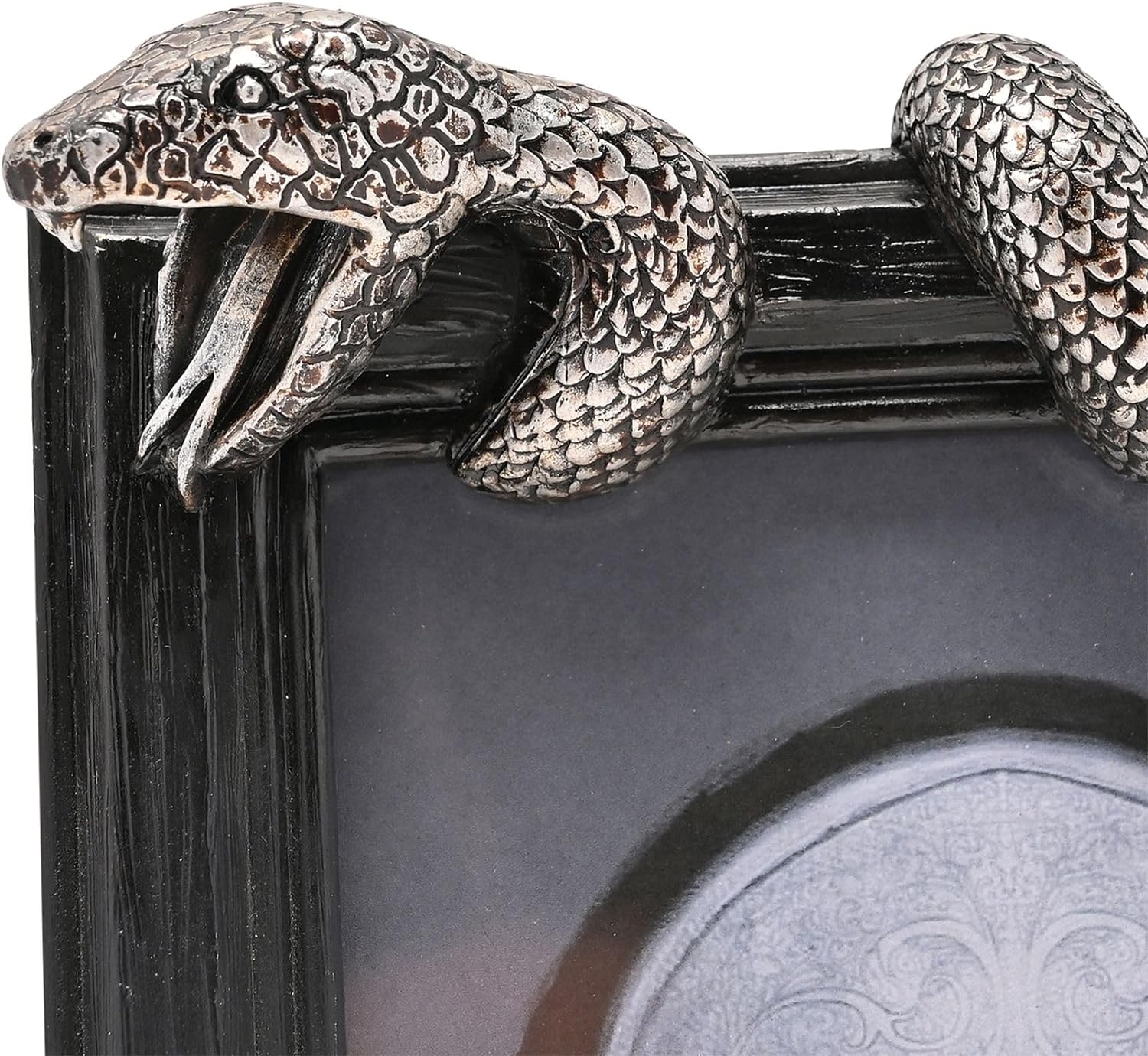 HARRY POTTER - Nagini - 3D Photo Frame