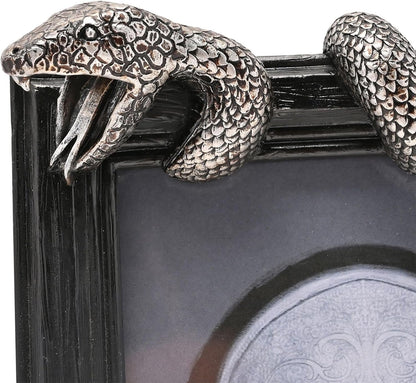 HARRY POTTER - Nagini - 3D Photo Frame