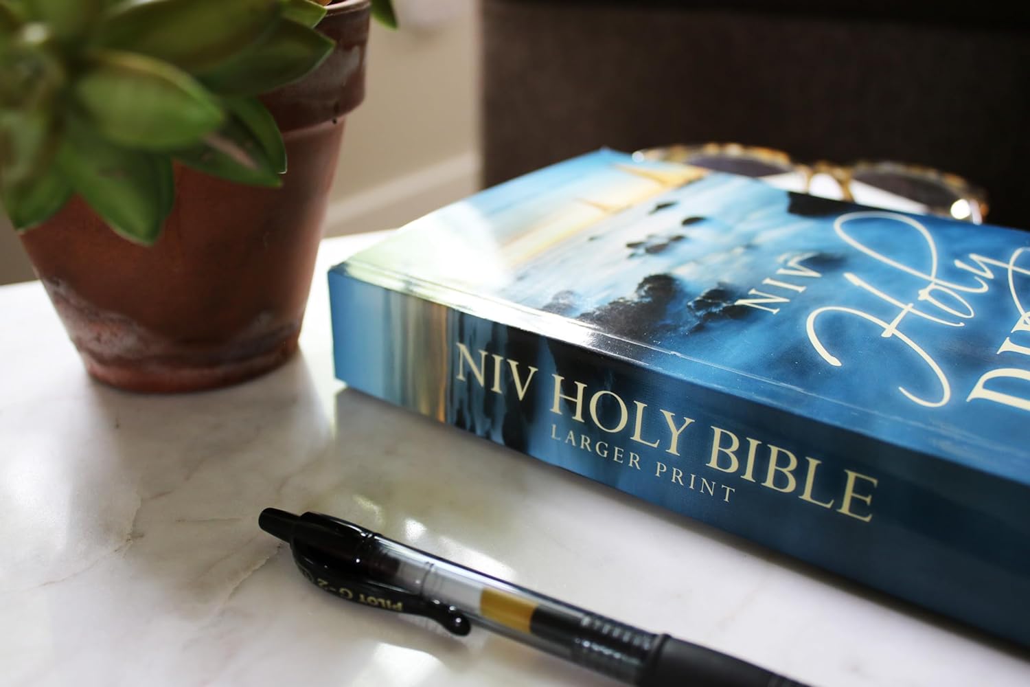 NIV, Holy Bible, Larger Print, Economy Edition, Paperback, Blue, Comfort Print