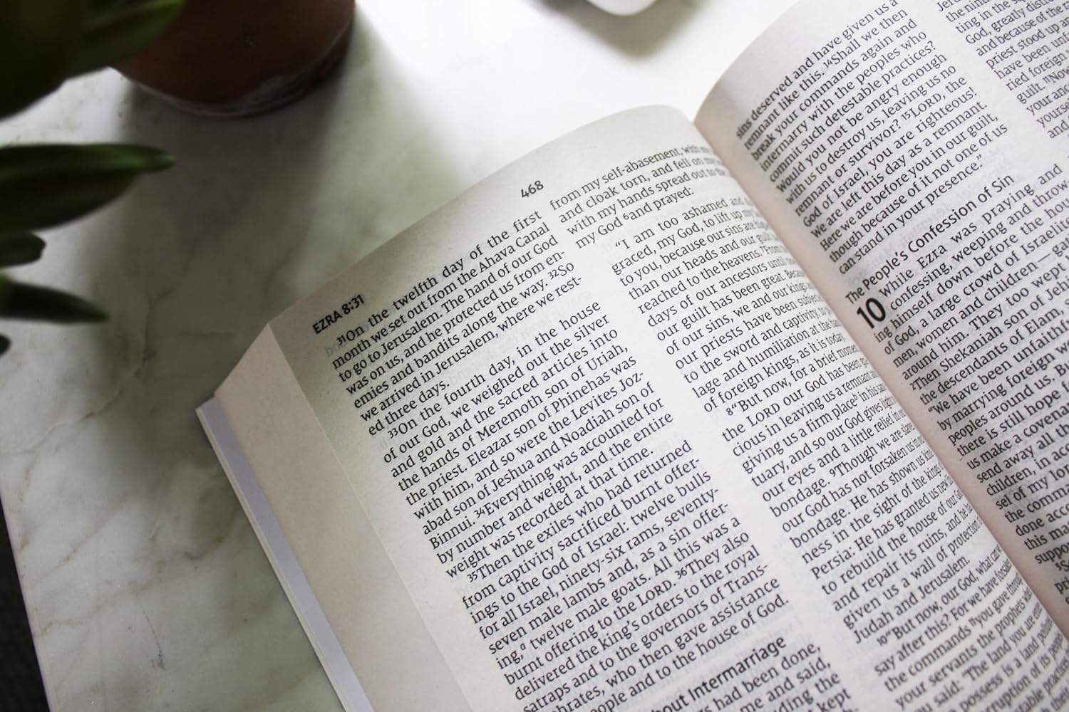 NIV, Holy Bible, Larger Print, Economy Edition, Paperback, Blue, Comfort Print