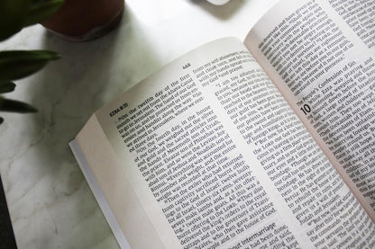 NIV, Holy Bible, Larger Print, Economy Edition, Paperback, Blue, Comfort Print