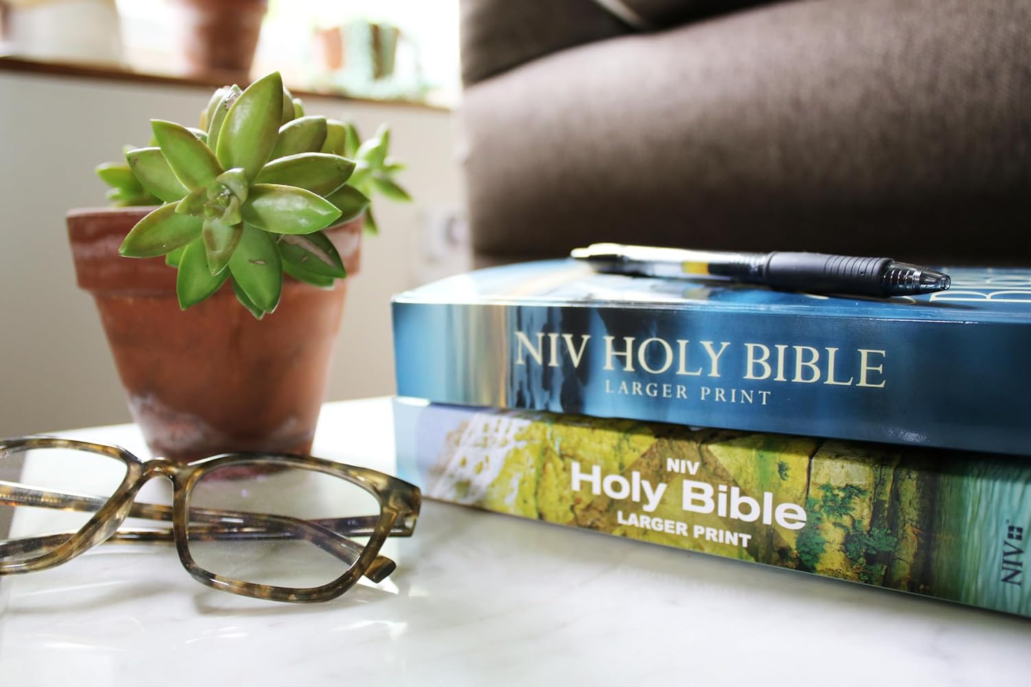 NIV, Holy Bible, Larger Print, Economy Edition, Paperback, Blue, Comfort Print